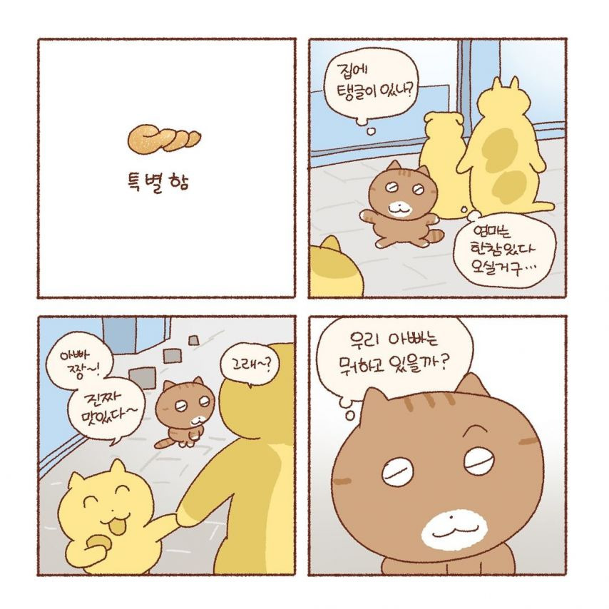 특별함