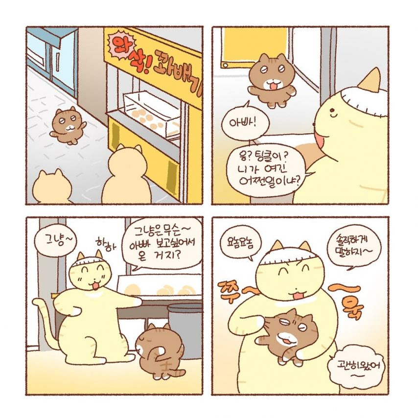 특별함