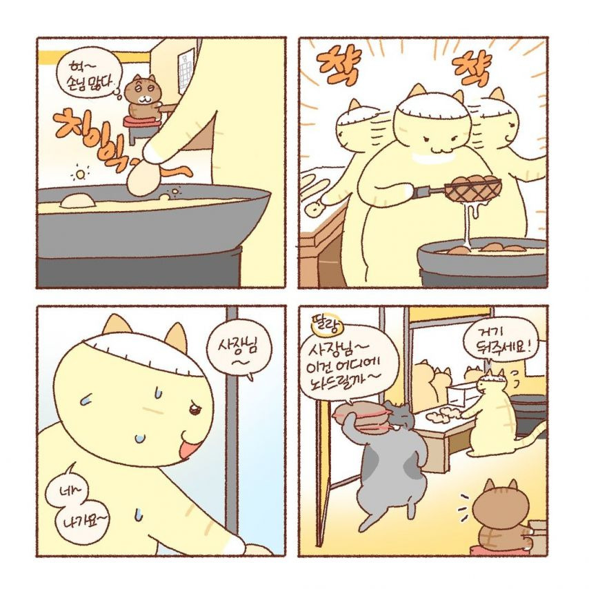 특별함