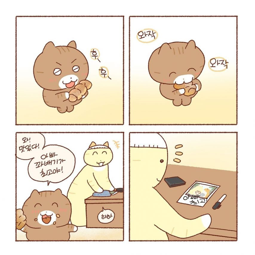특별함