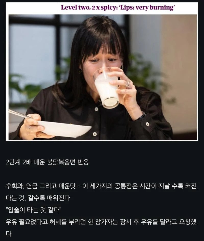 영국 가디언지 기사들 불닭볶음면 시식평 ㅋㅋ
