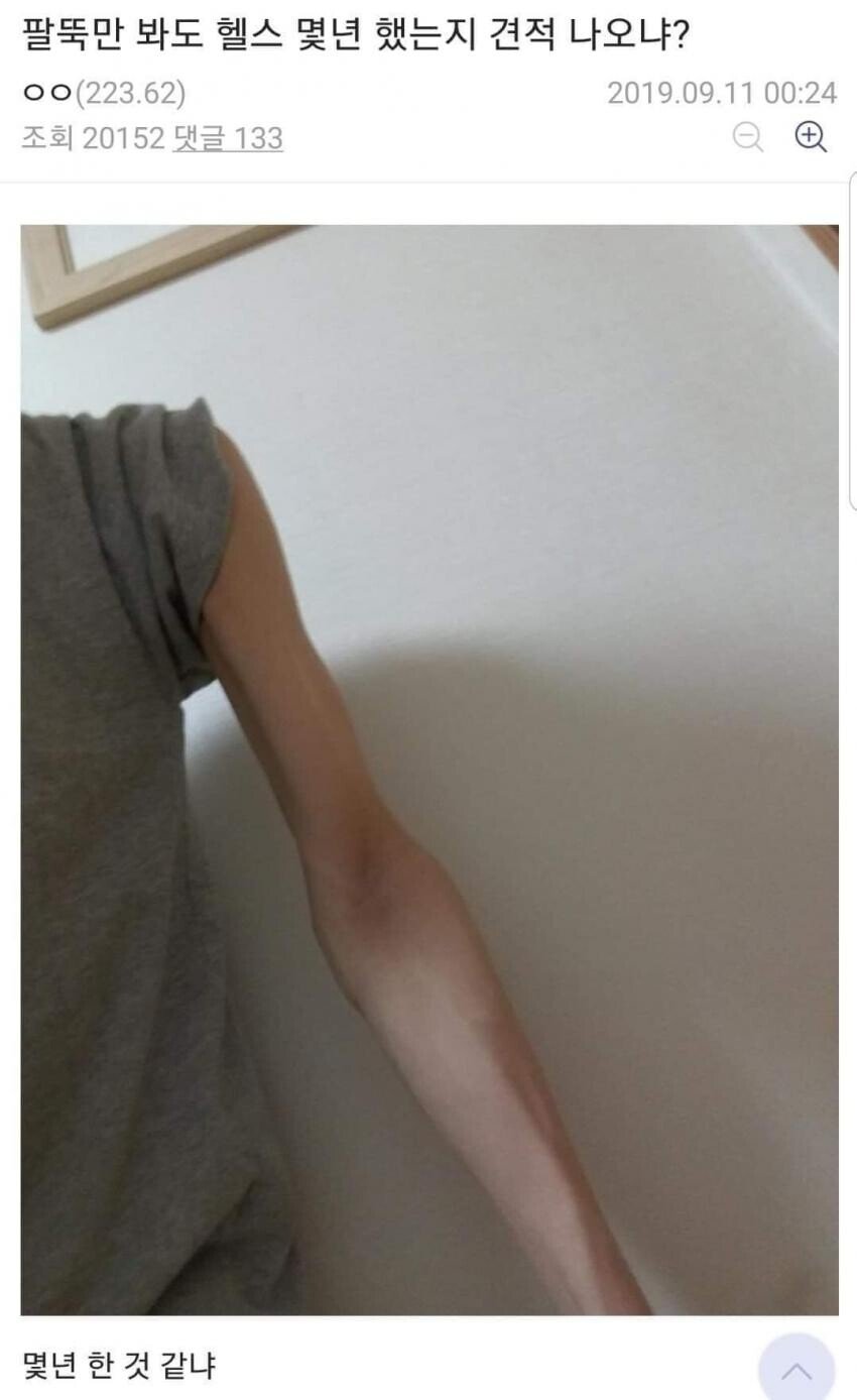 헬스갤러리 레전드 모음