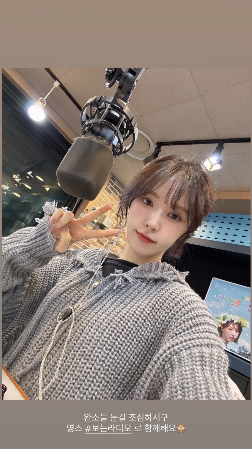 레드벨벳 웬디