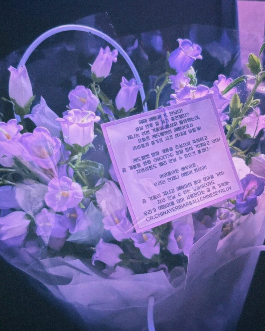 예리 레드벨벳 인별