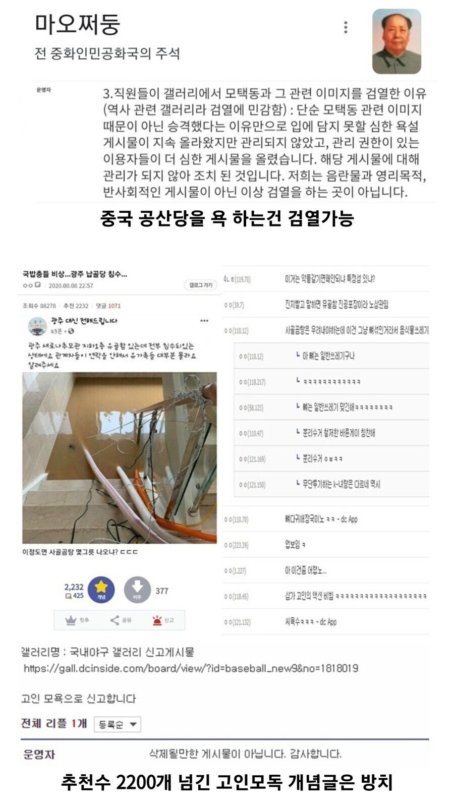 시진핑핑이 제작자 "중국 공안이 쫒는단건 헛소문"