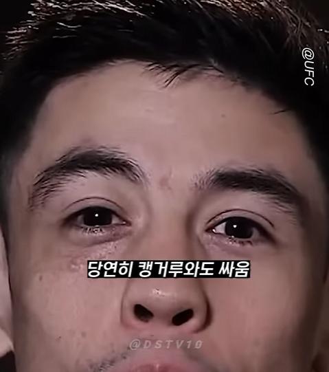 UFC 선수들이 말하는 맨손으로 이길수 있는 동물