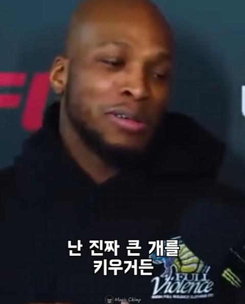 UFC 선수들이 말하는 맨손으로 이길수 있는 동물