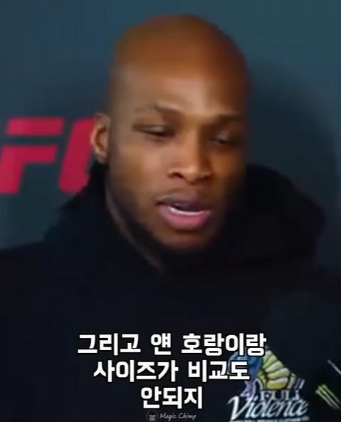 UFC 선수들이 말하는 맨손으로 이길수 있는 동물