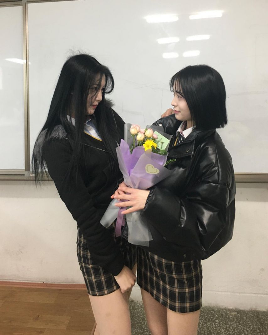 신채원