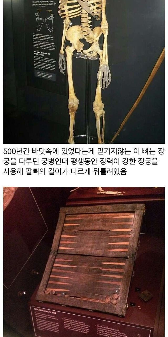 무려 500년만에 발견된 영국 배