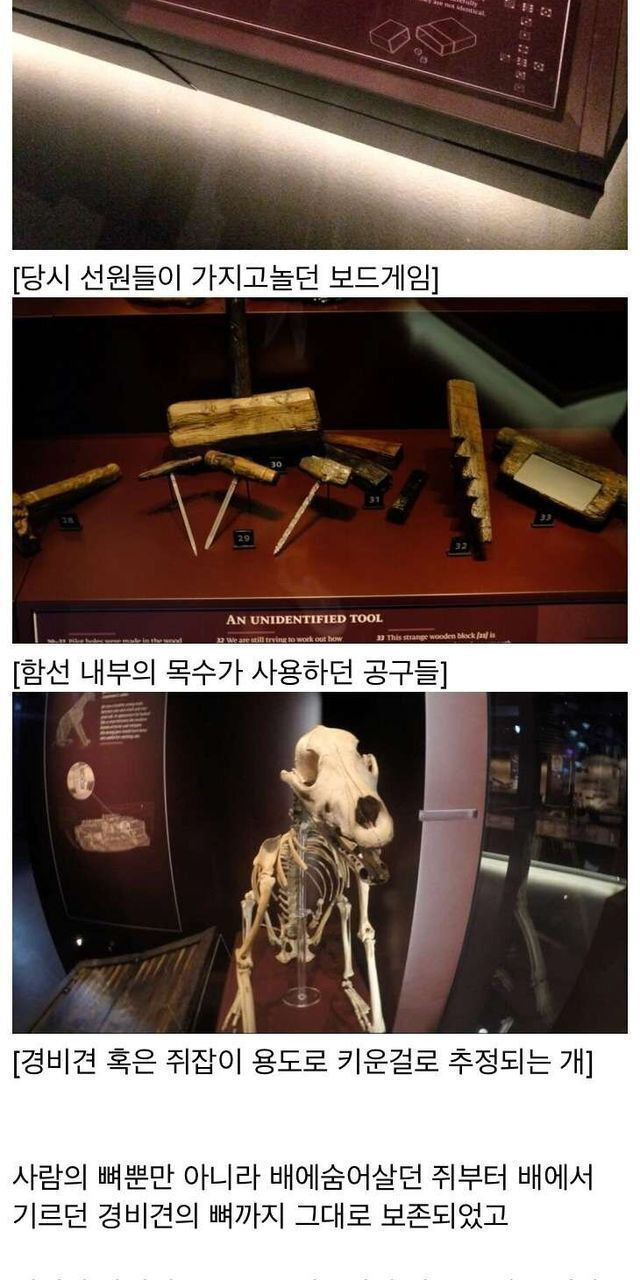 무려 500년만에 발견된 영국 배
