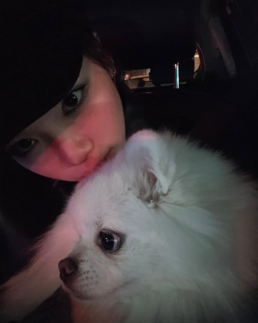 르세라핌 김채원