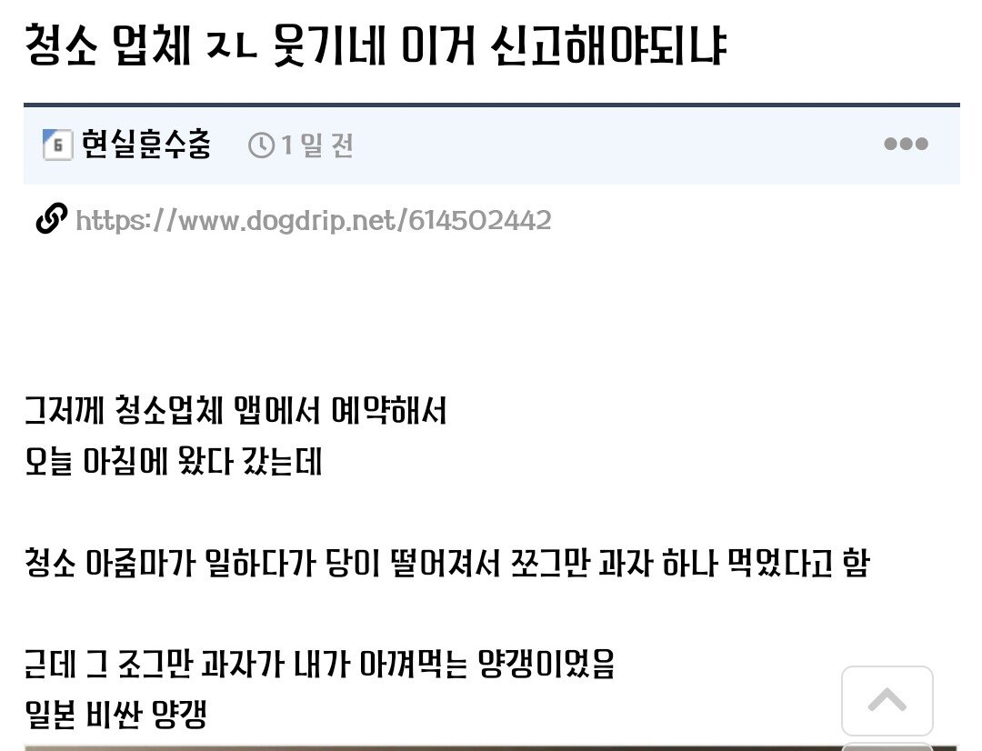 비싼 양갱을 맘대로 먹은 청소업체 아줌마