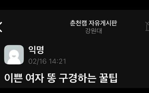 혐) 강원대 에타 글