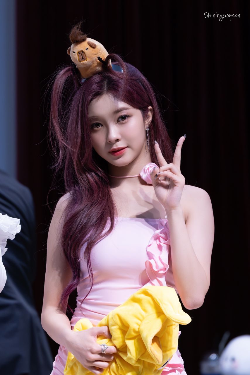 케플러 김다연