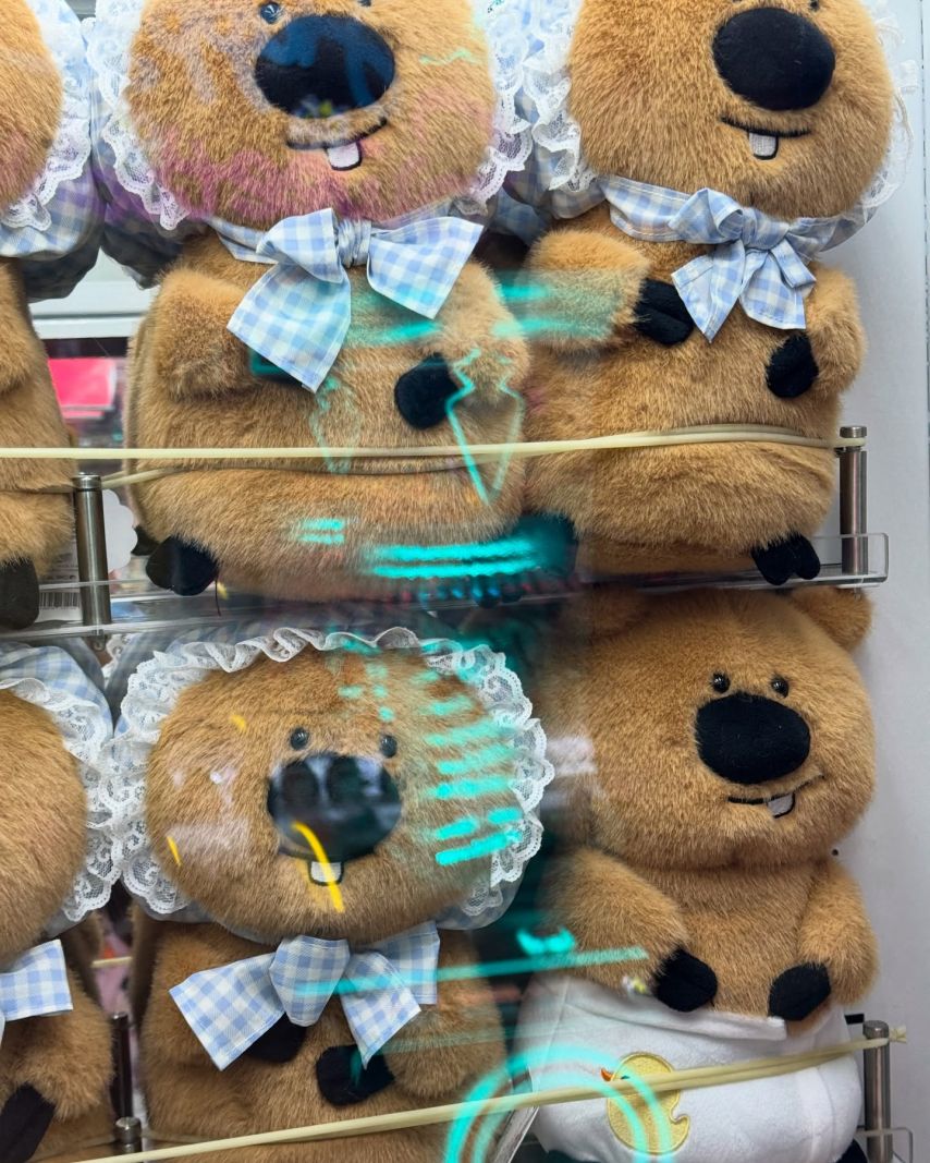 에이핑크 하영
