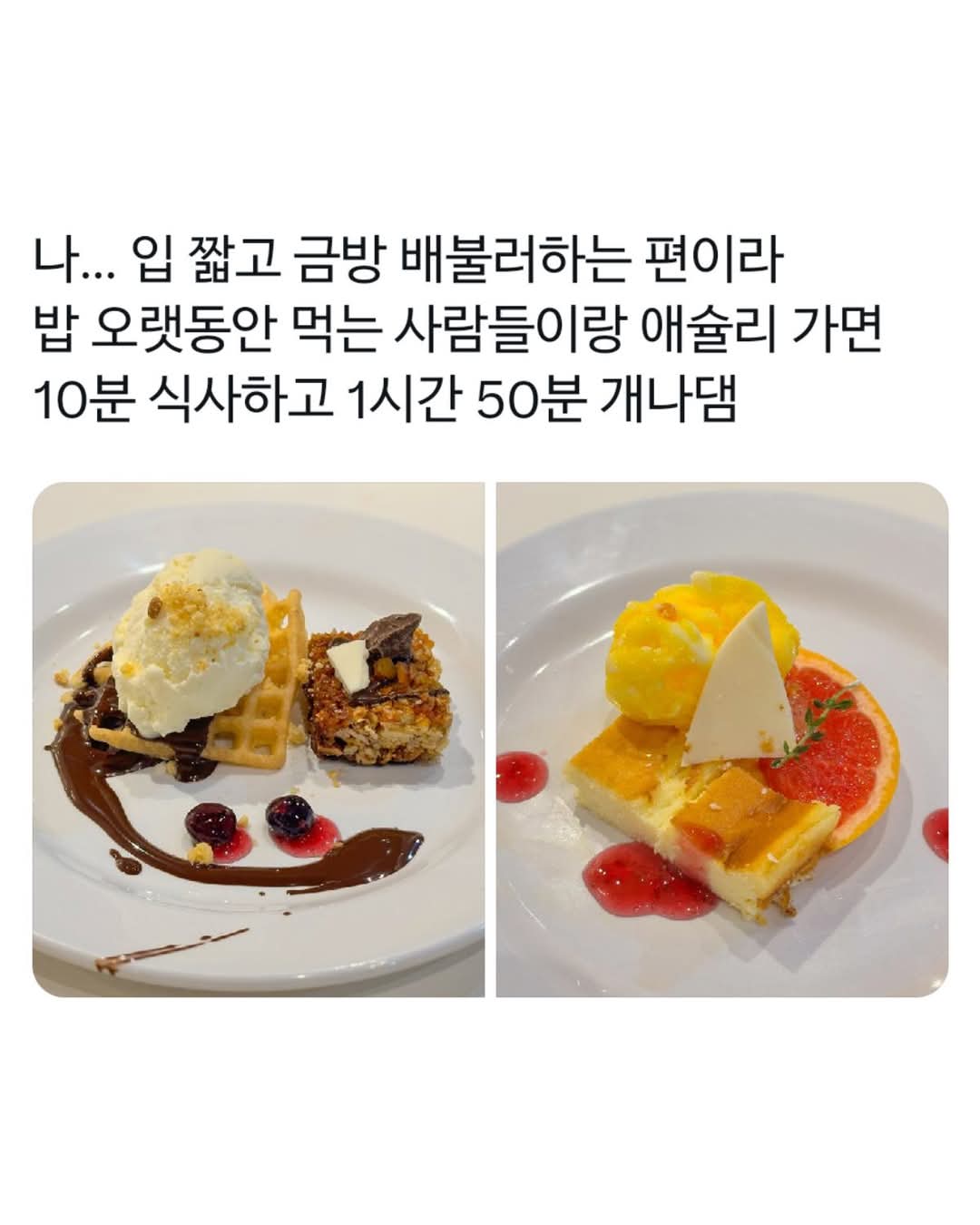 ???:쿠우쿠우에서 개나대는거 봄