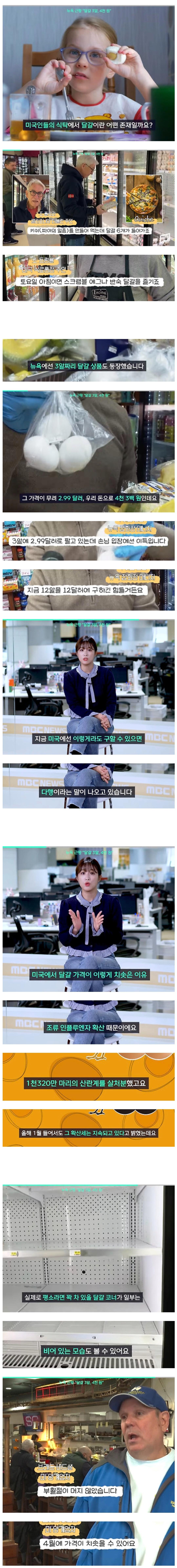달걀한알 1400원된 미국근황