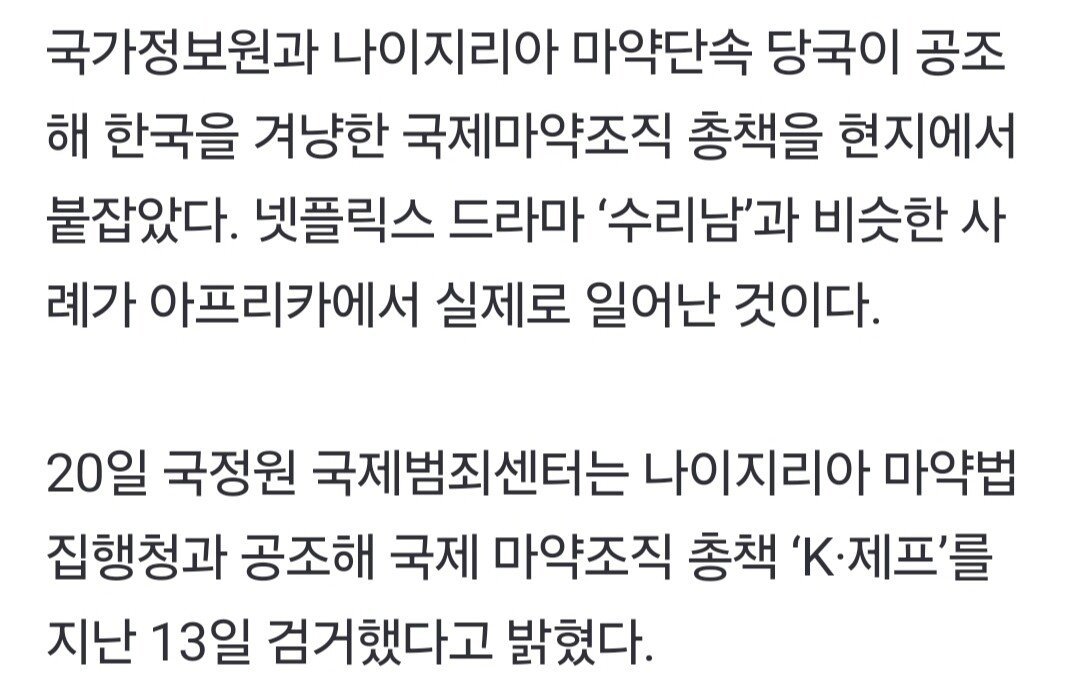 국정원 "한국 겨냥 국제마약조직 총책 나이지리아인 검거"