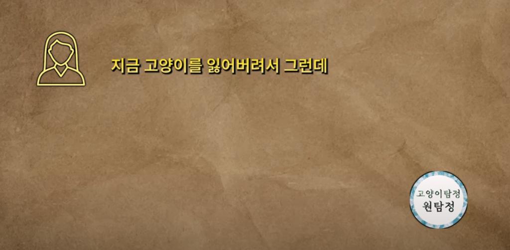 고양이 찾아달라고 의뢰해놓고 돈 못주겠다는 고양이 유튜버 ㄷㄷ