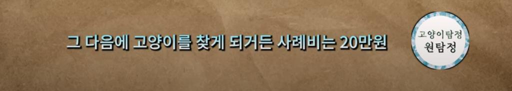 고양이 찾아달라고 의뢰해놓고 돈 못주겠다는 고양이 유튜버 ㄷㄷ