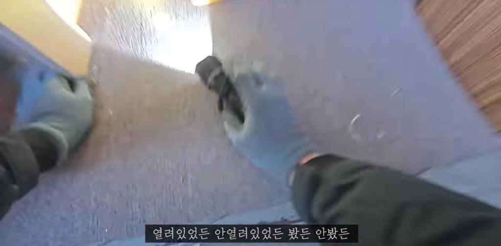 고양이 찾아달라고 의뢰해놓고 돈 못주겠다는 고양이 유튜버 ㄷㄷ