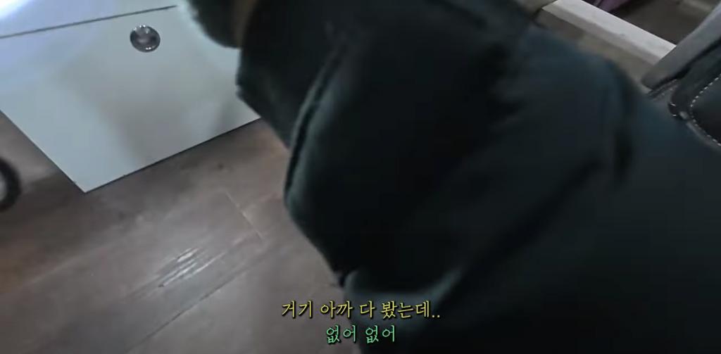 고양이 찾아달라고 의뢰해놓고 돈 못주겠다는 고양이 유튜버 ㄷㄷ