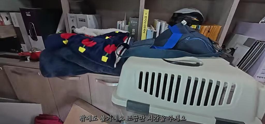 고양이 찾아달라고 의뢰해놓고 돈 못주겠다는 고양이 유튜버 ㄷㄷ