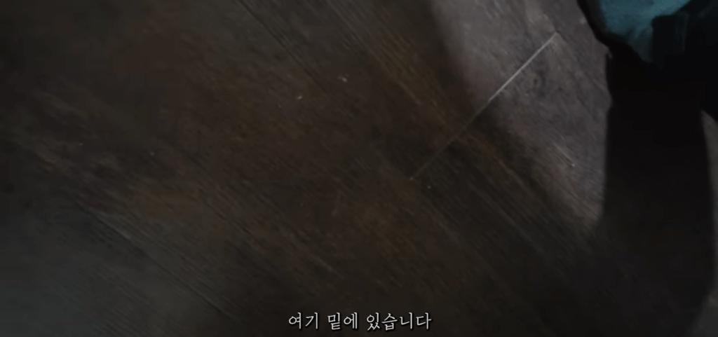 고양이 찾아달라고 의뢰해놓고 돈 못주겠다는 고양이 유튜버 ㄷㄷ