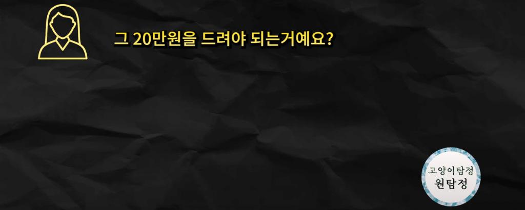 고양이 찾아달라고 의뢰해놓고 돈 못주겠다는 고양이 유튜버 ㄷㄷ