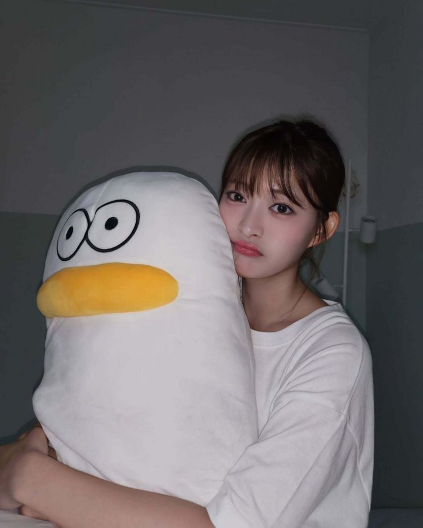 시그니처 세미 인스타