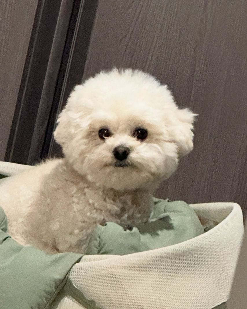 이호정
