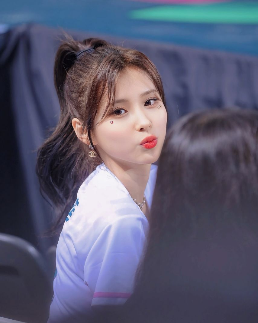 전은비
