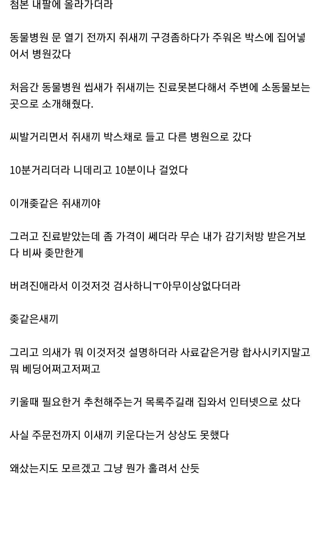 햄스터 때문에 수의대 가기로 결정한 디씨인