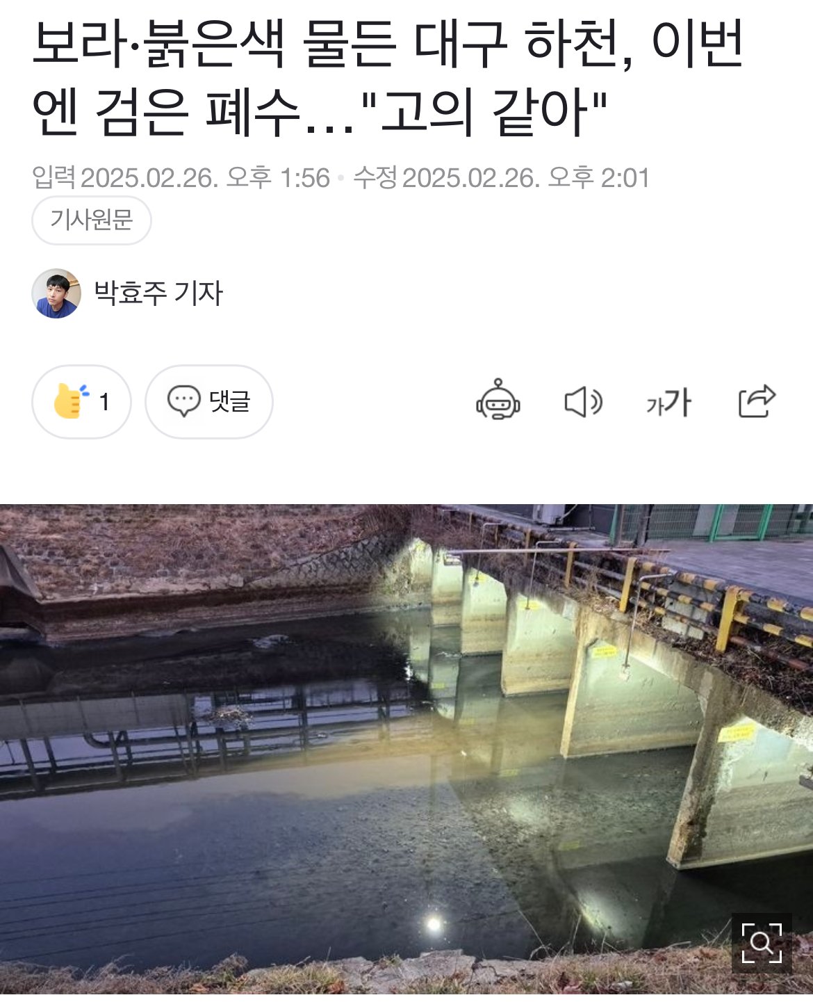 현재 ㅈ됐다는 대구 서구쪽 하천 근황 ㅎㄷㄷㄷ