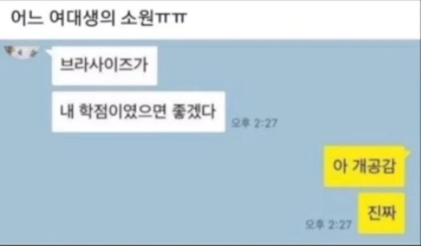 어느 빈유 여대생의 소원 ㅠㅠ