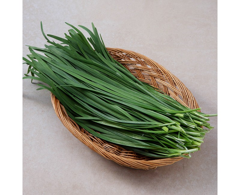 국내산 부추, 300g, 1개