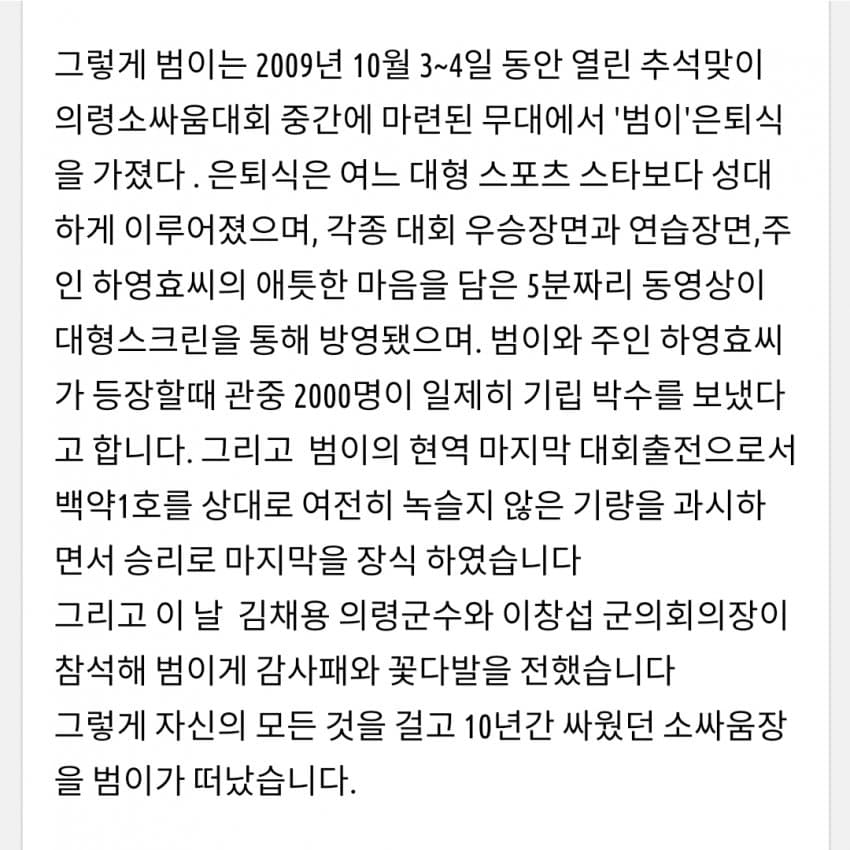 한국 전설의 싸움소 범이