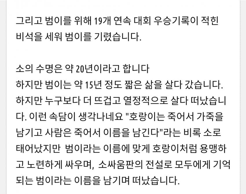 한국 전설의 싸움소 범이
