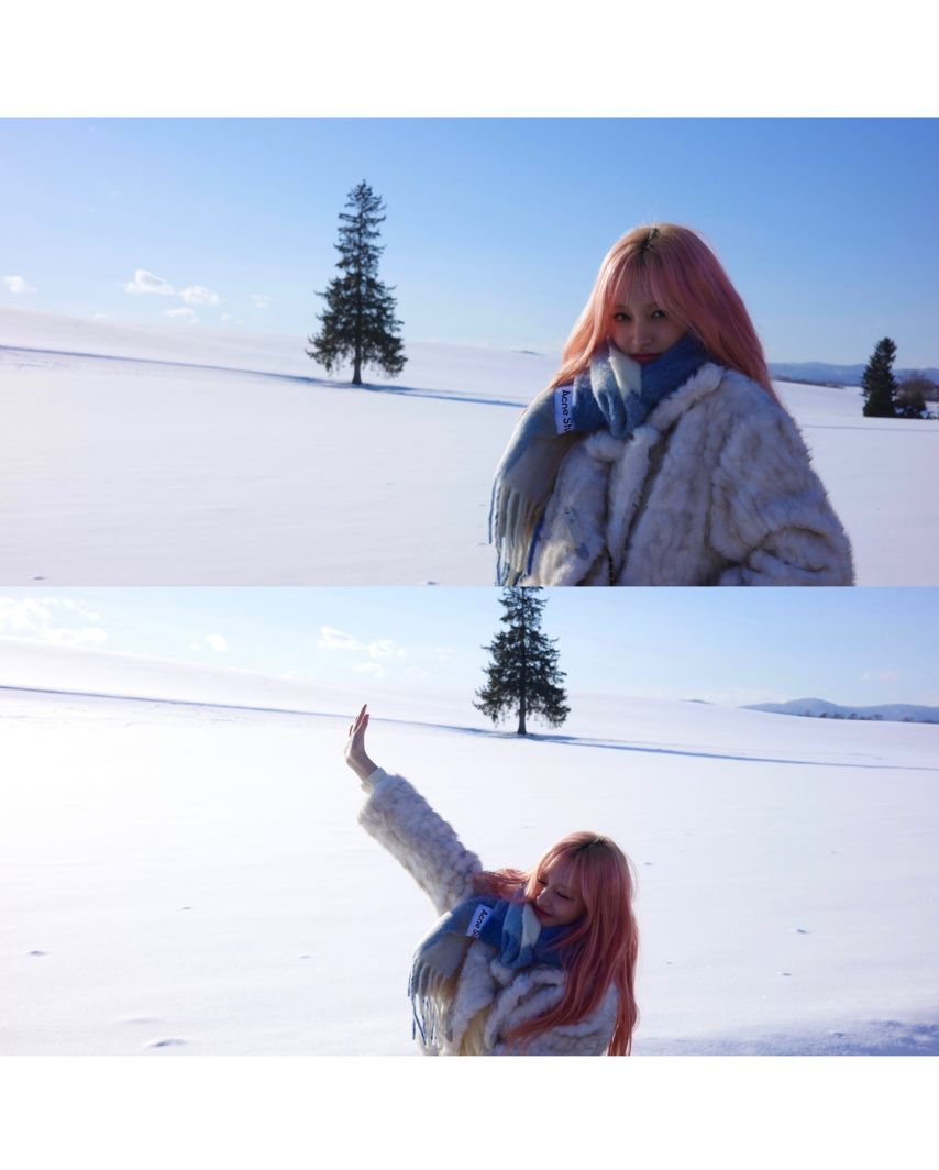 아이브 리즈