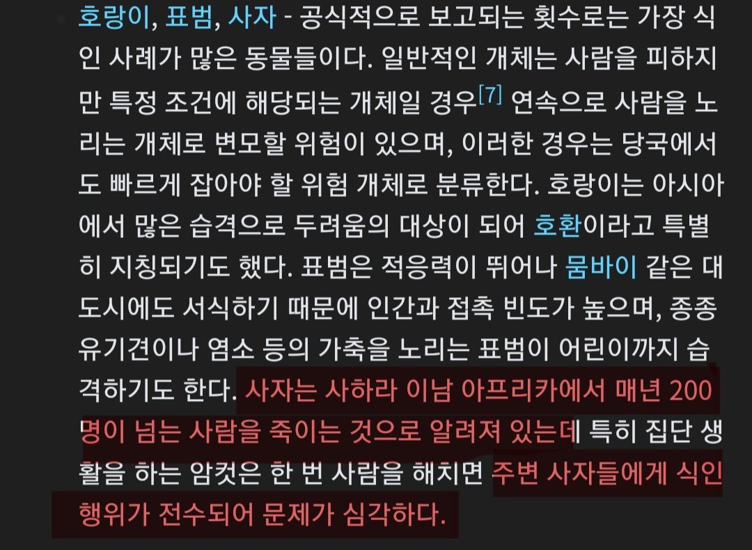 아프리카에서 식인 사자가 엄청난 문제가 되는 이유 ㄷㄷㄷ
