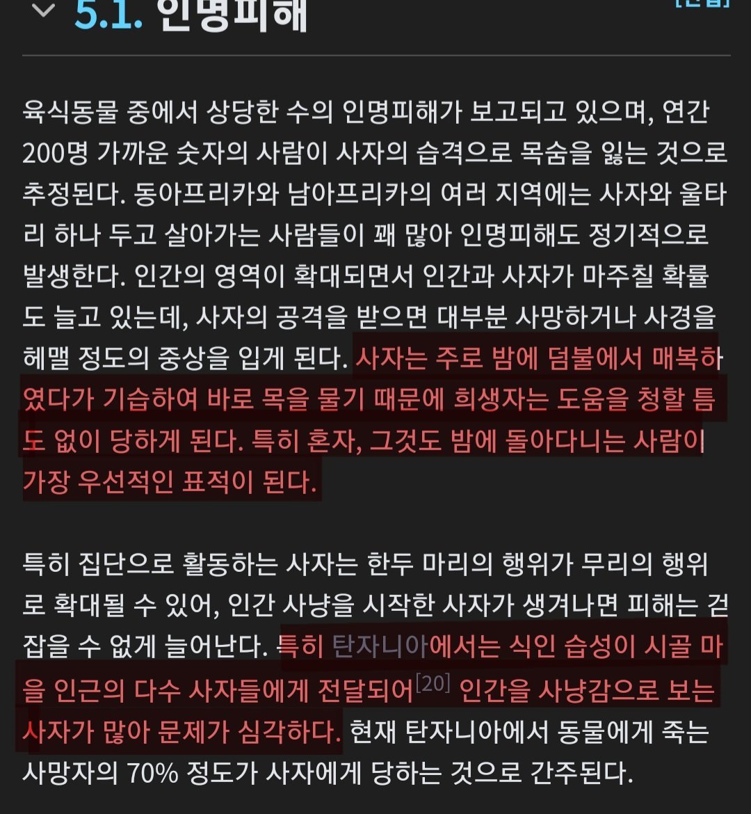 아프리카에서 식인 사자가 엄청난 문제가 되는 이유 ㄷㄷㄷ