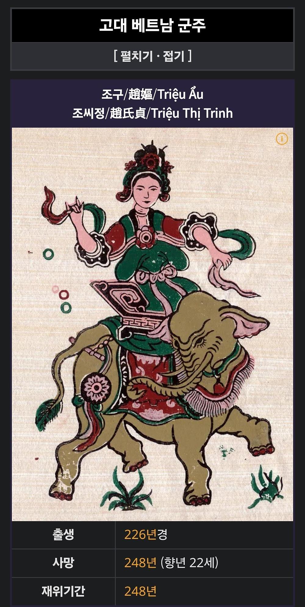 삼국지에 나오는 코끼리 탄 거유 여전사