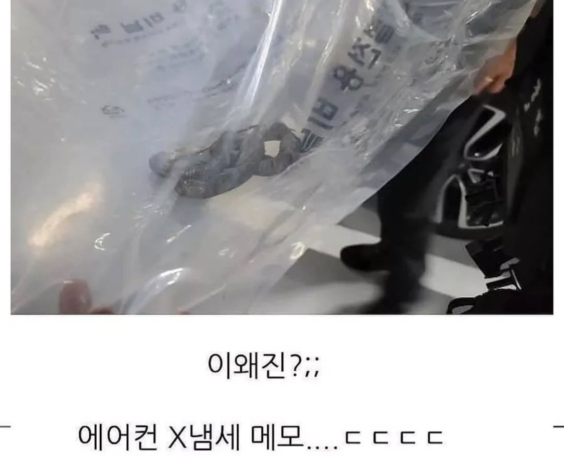 차안에서 땀냄새 났던 이유