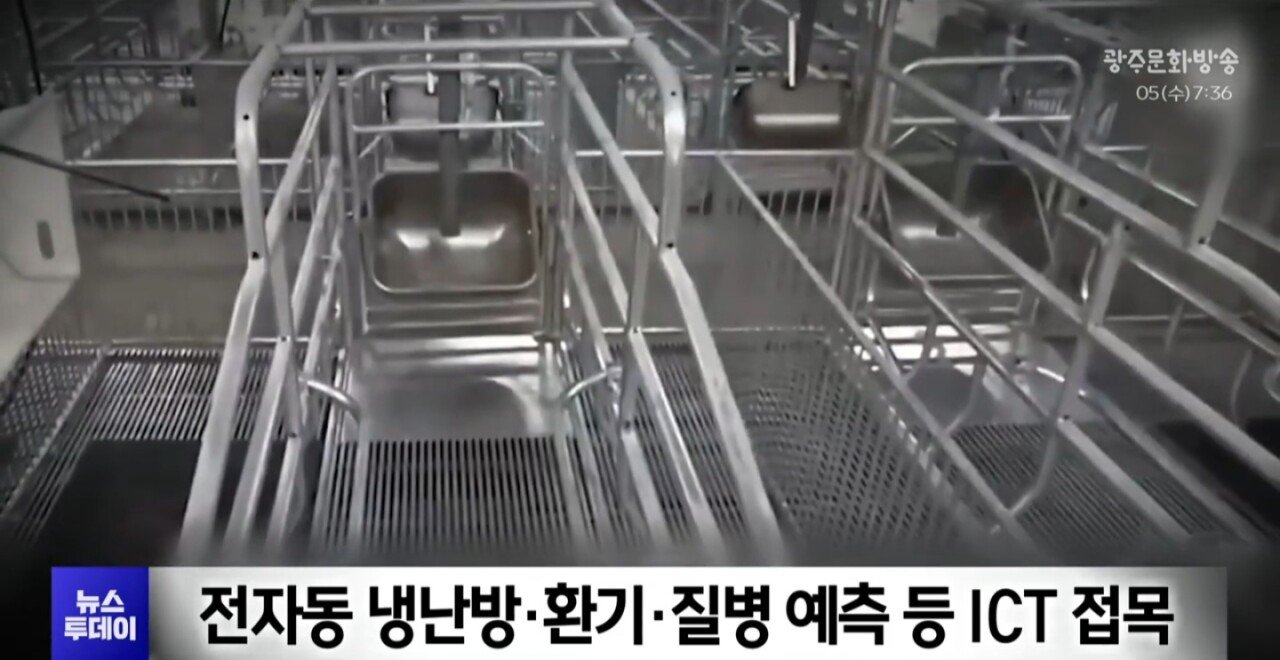 충남 '양돈빌딩' 추진... 동물단체 반발