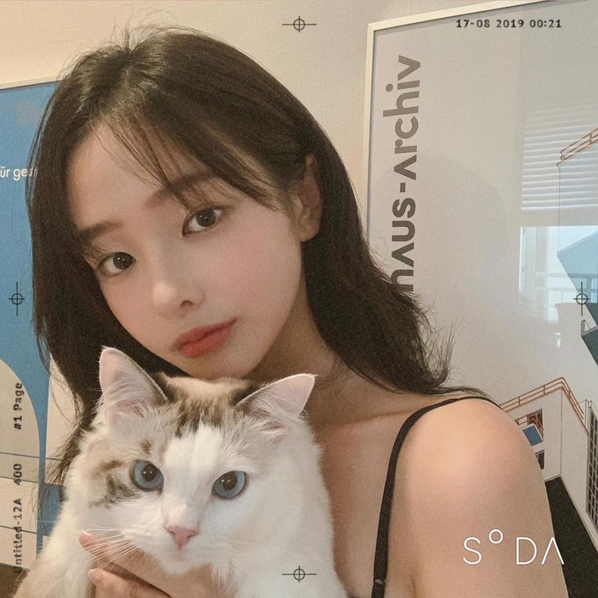 인스타 손화민