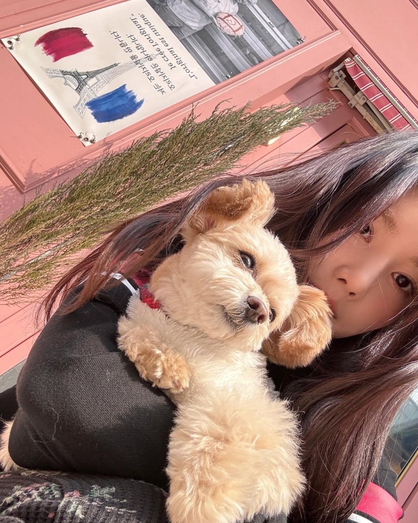 권은비