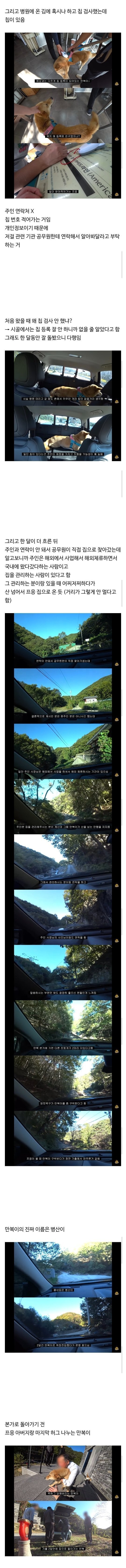갑자기 집에 들어온 떠돌이개가 알고보니 부잣집 도련님