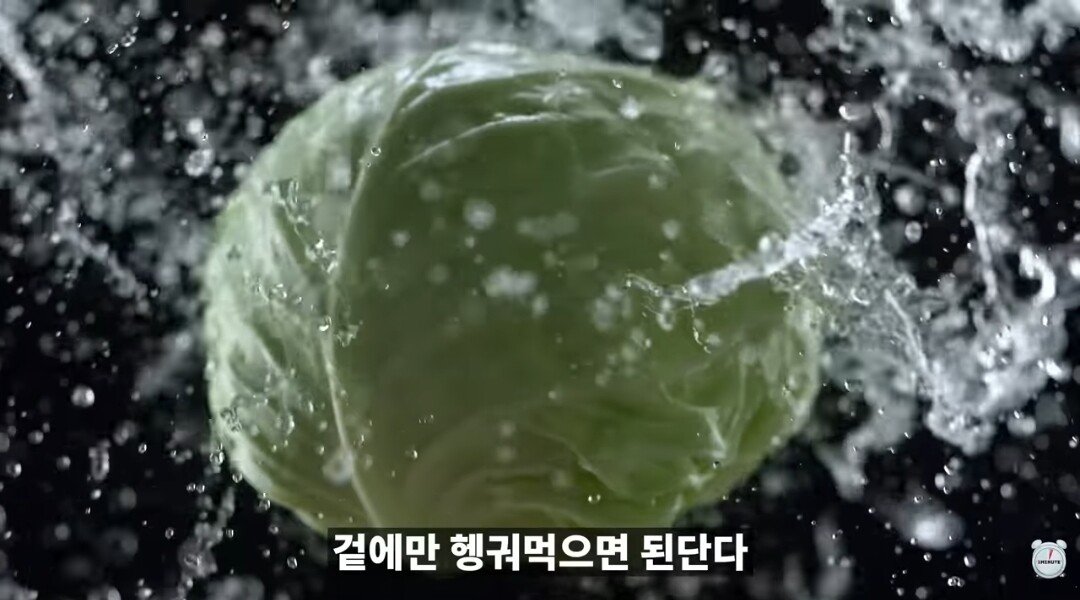 양배추 1장 1장씩 열심히 세척하던 분들 보세요