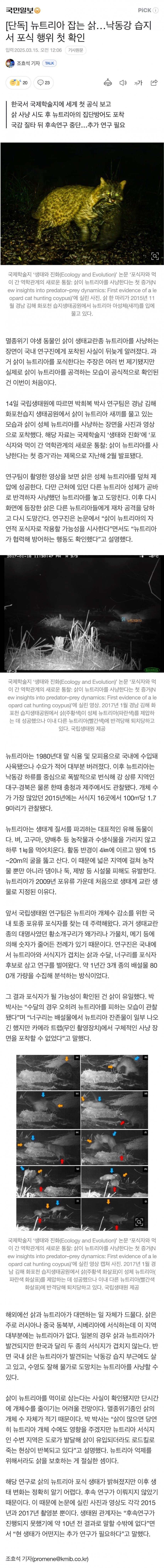 낙동강에서 뉴트리아 잡는 삵